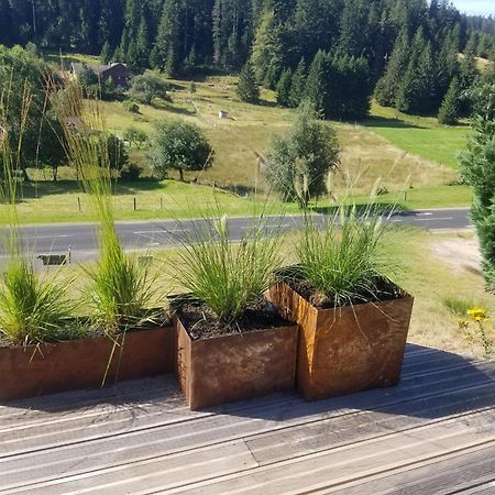 Chalet Les Vosgiennes Льо Валтон Екстериор снимка
